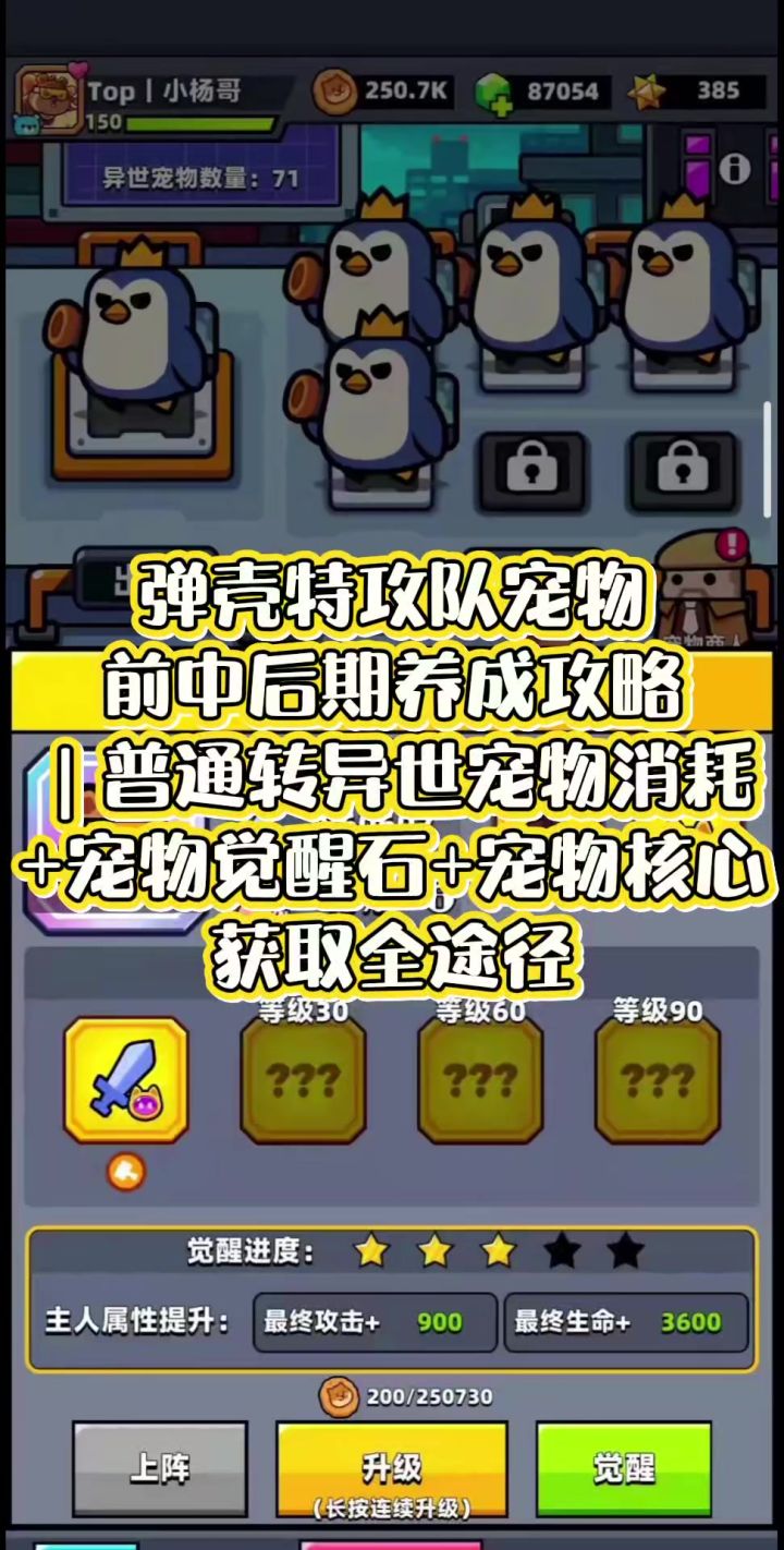 弹壳特攻队宠物前中后期养成攻略|普通转异世宠物消耗截图