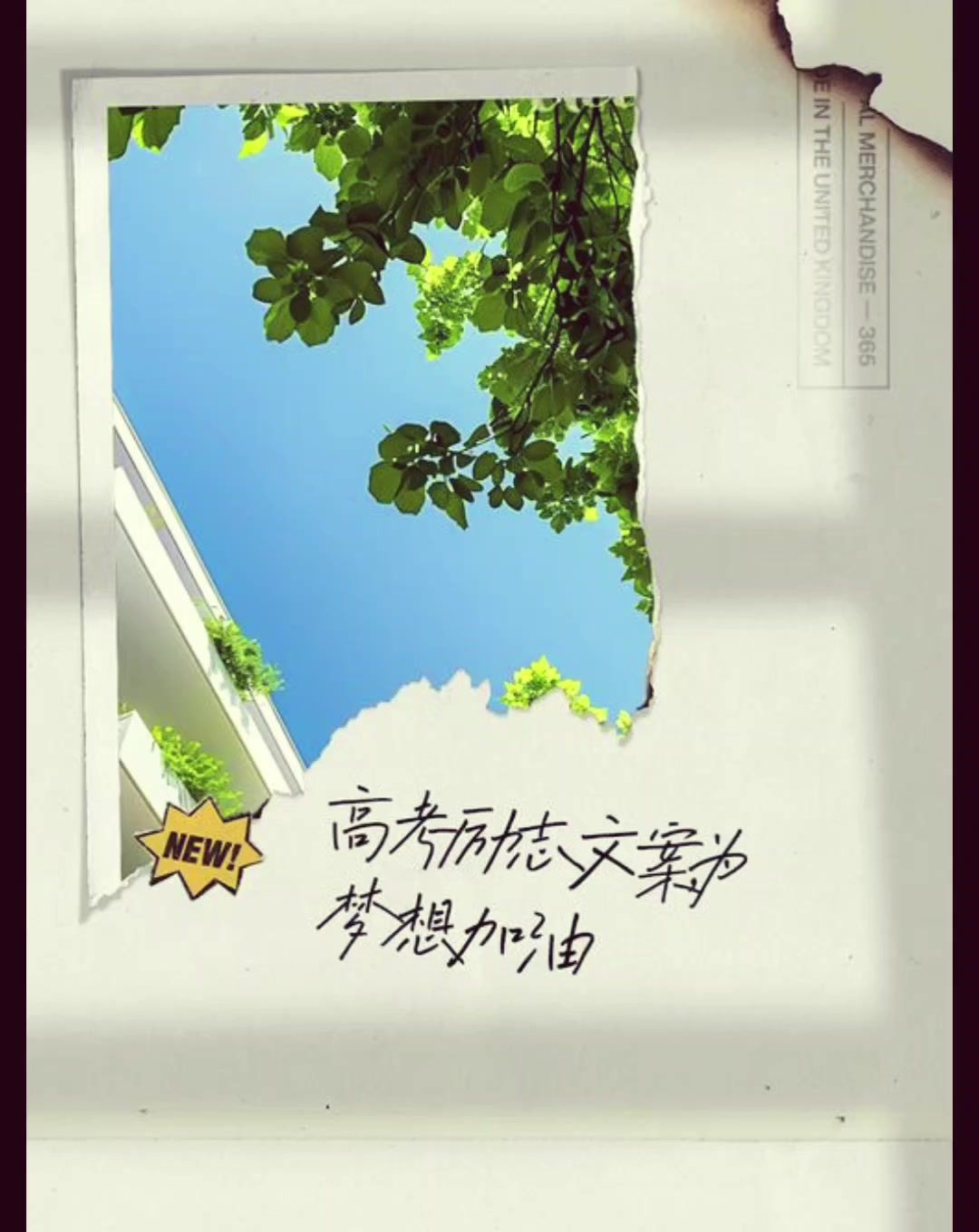 感我此言良久立 却做促弦弦转急截图