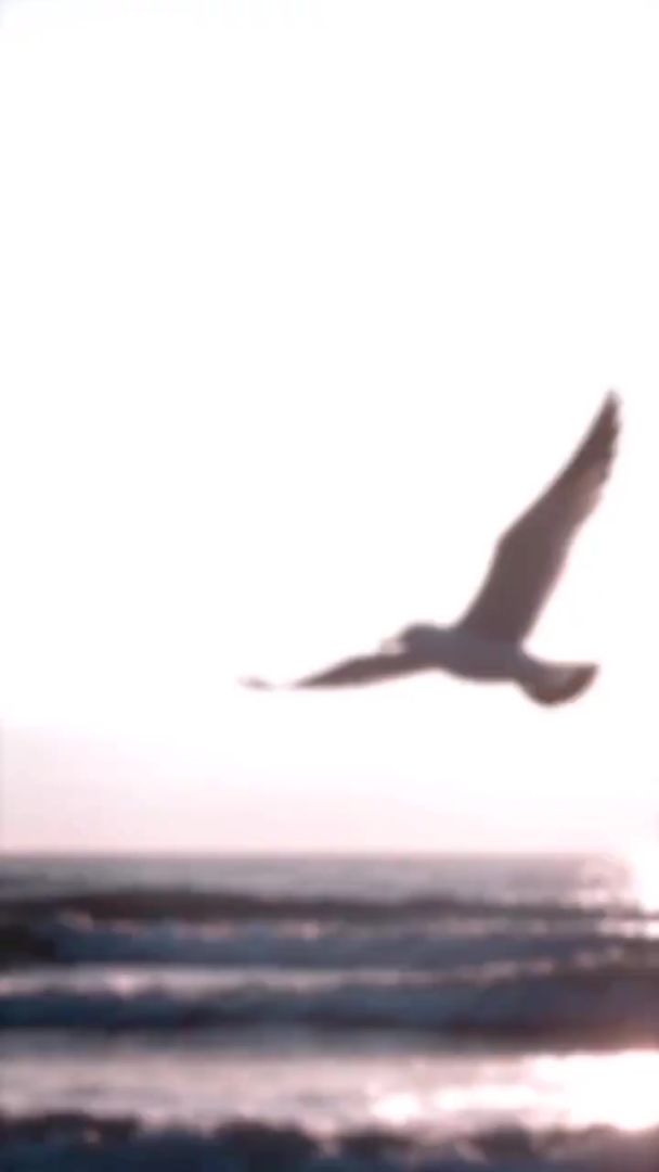 video-5696080