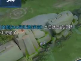 国服铠皇被所有人看不起