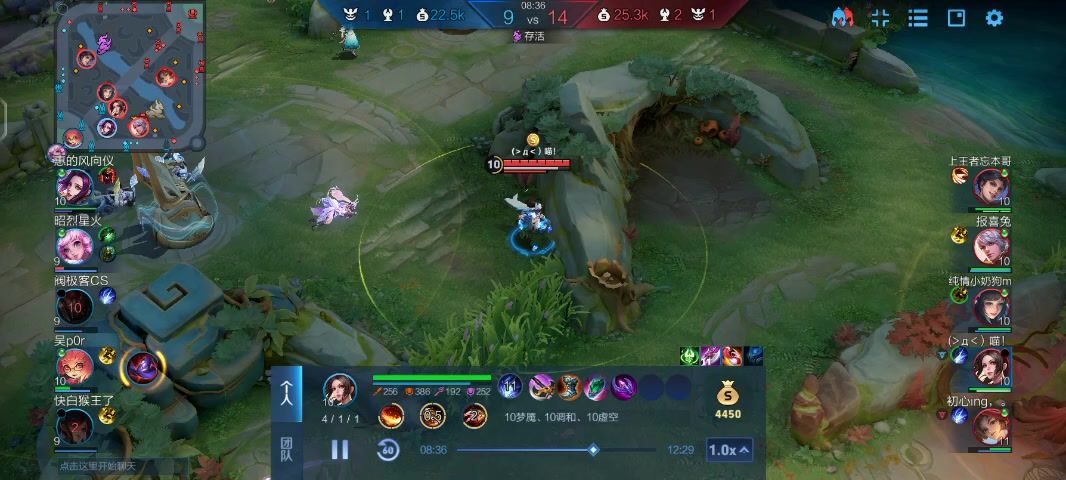 video-5699478