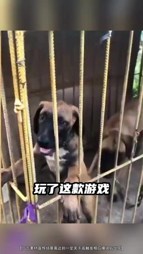 video-5703731