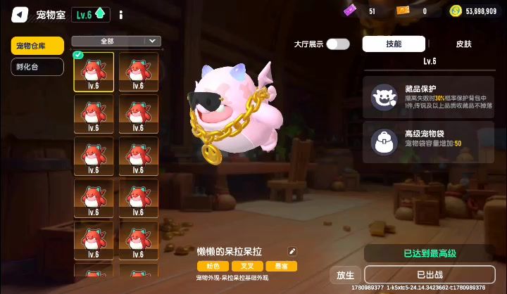 video-5704235