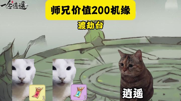 师兄价值200机缘截图