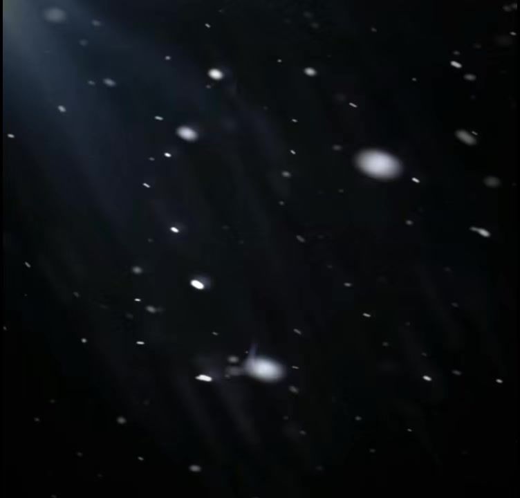 video-5708318