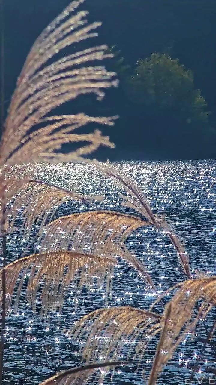 video-5711489