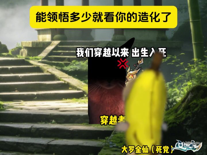 能领悟多少就看你的悟性了（问剑长生）截图