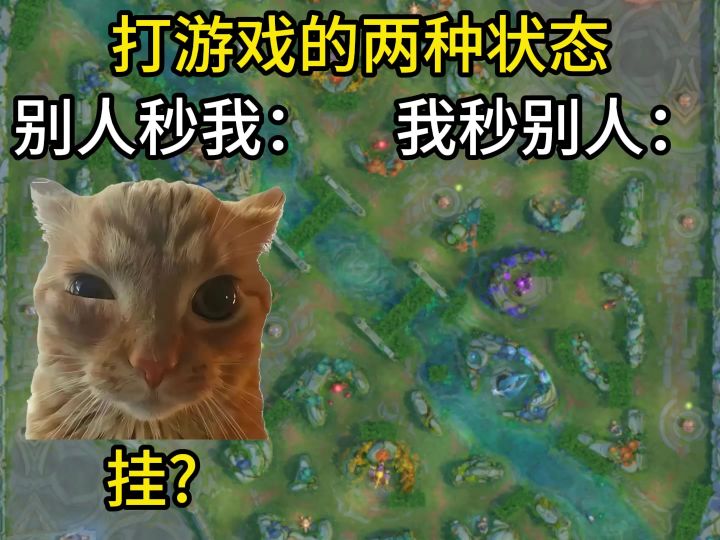 玩游戏的两种状态截图