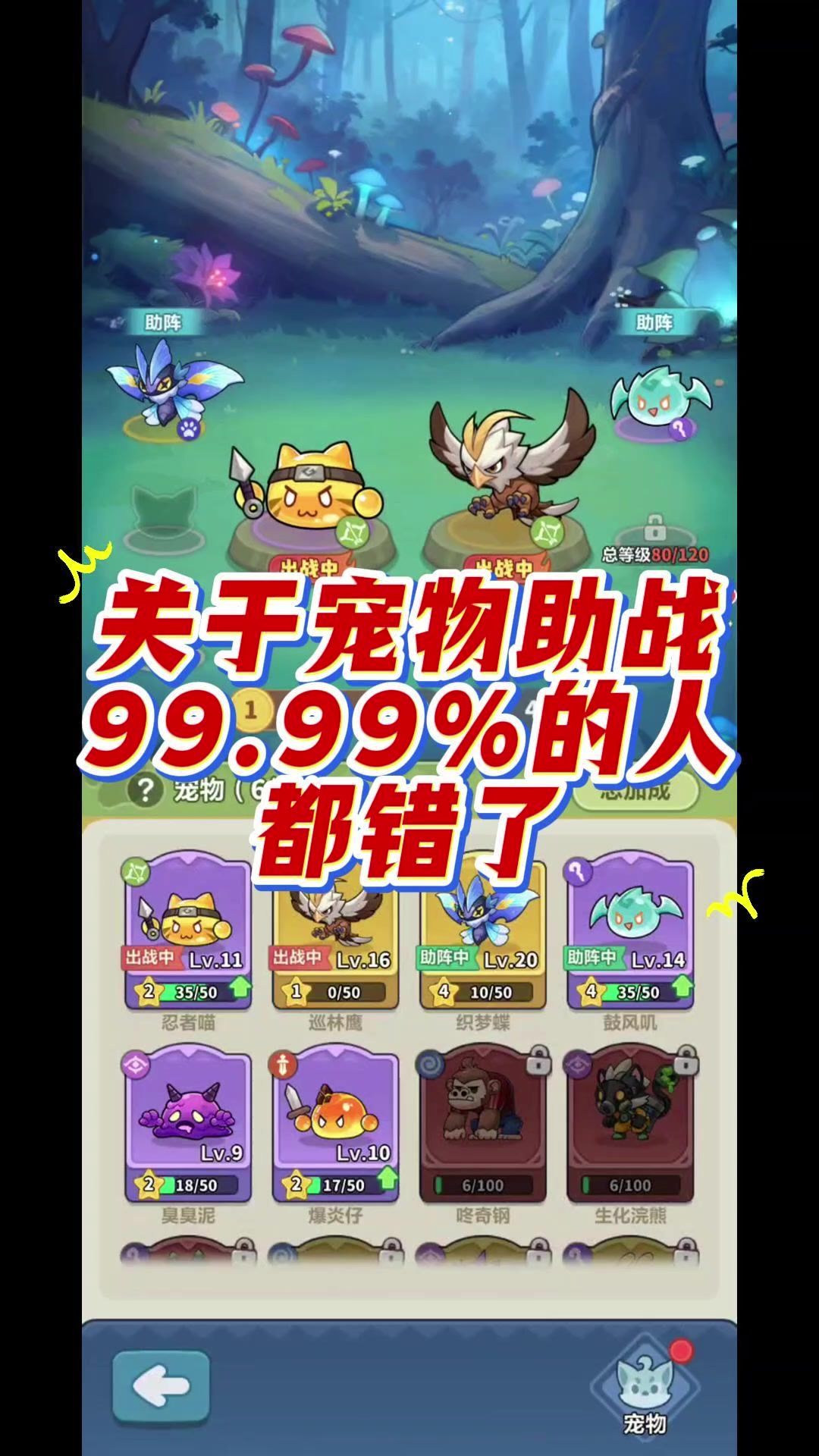video-5717586