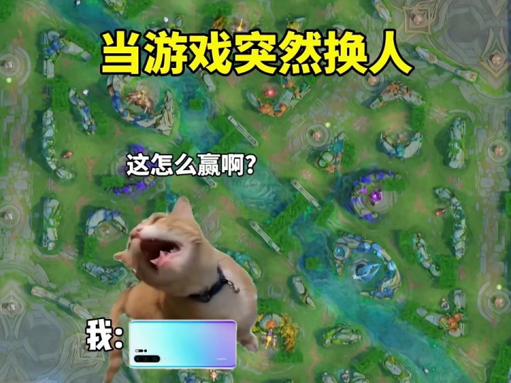 当游戏突然换人时截图