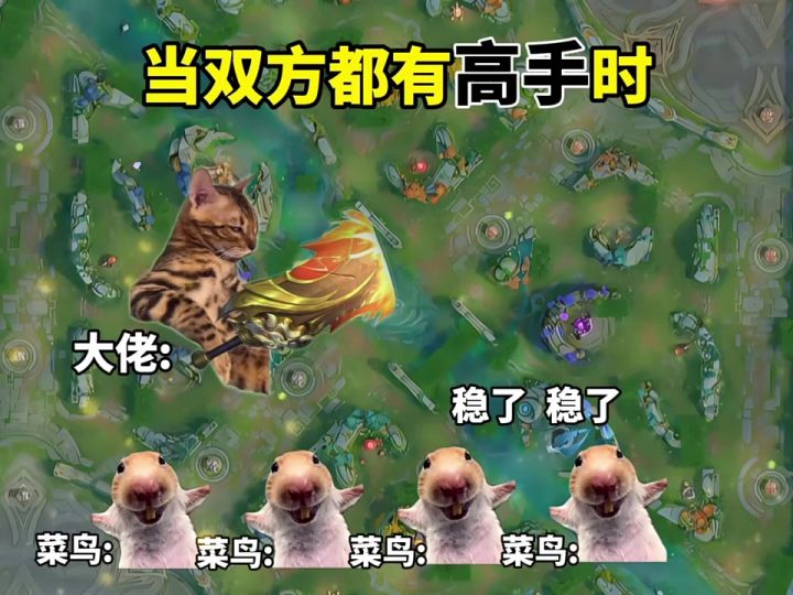 当双方都有高手时截图