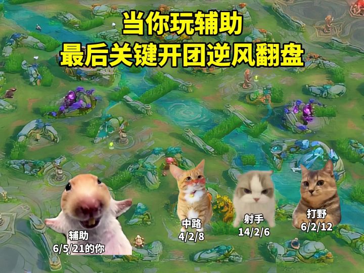 当你玩辅助最后翻盘时截图