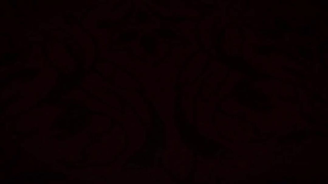 video-5728123