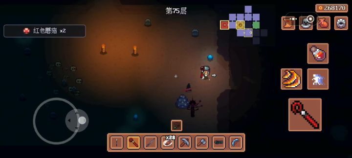 腐化套装配合余晖法杖，地牢金币就是舒服截图