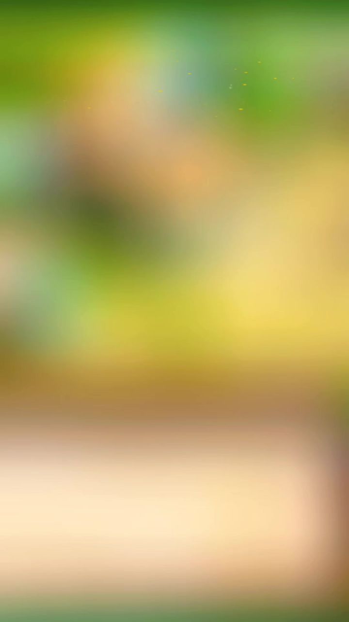 口袋精灵2|重回童年宠物养成乐园,邂逅专属萌宠冒险截图