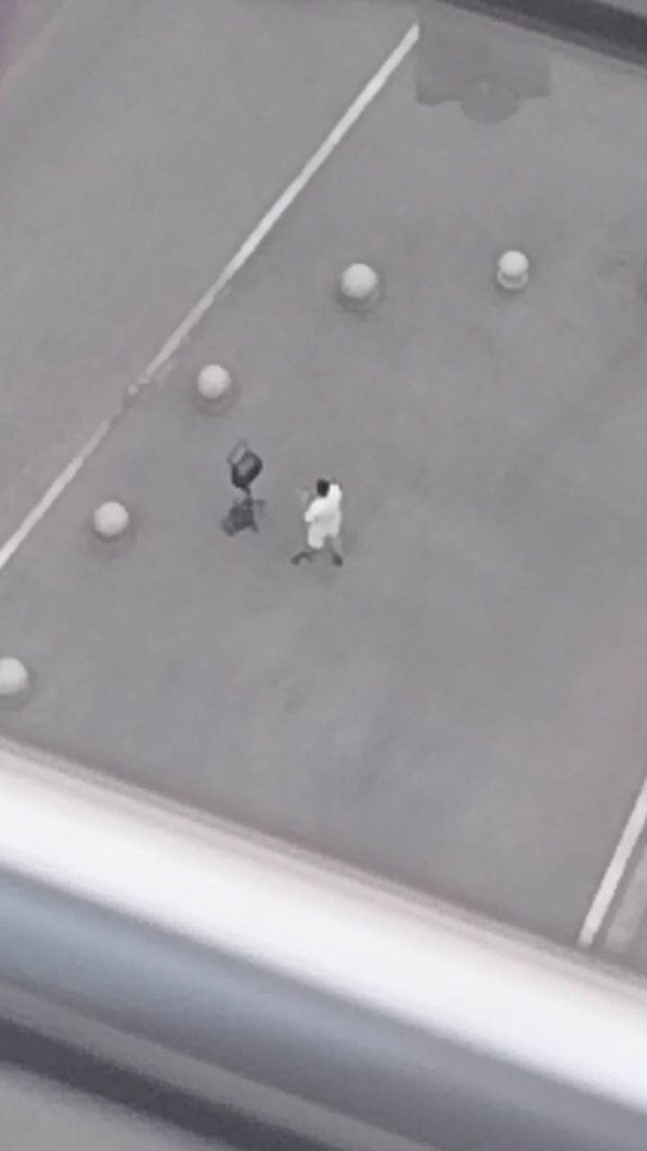 老早就在这块吵。截图