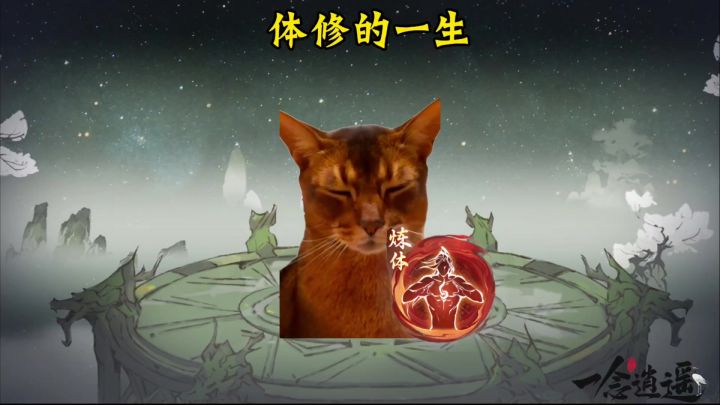 体修的一生截图
