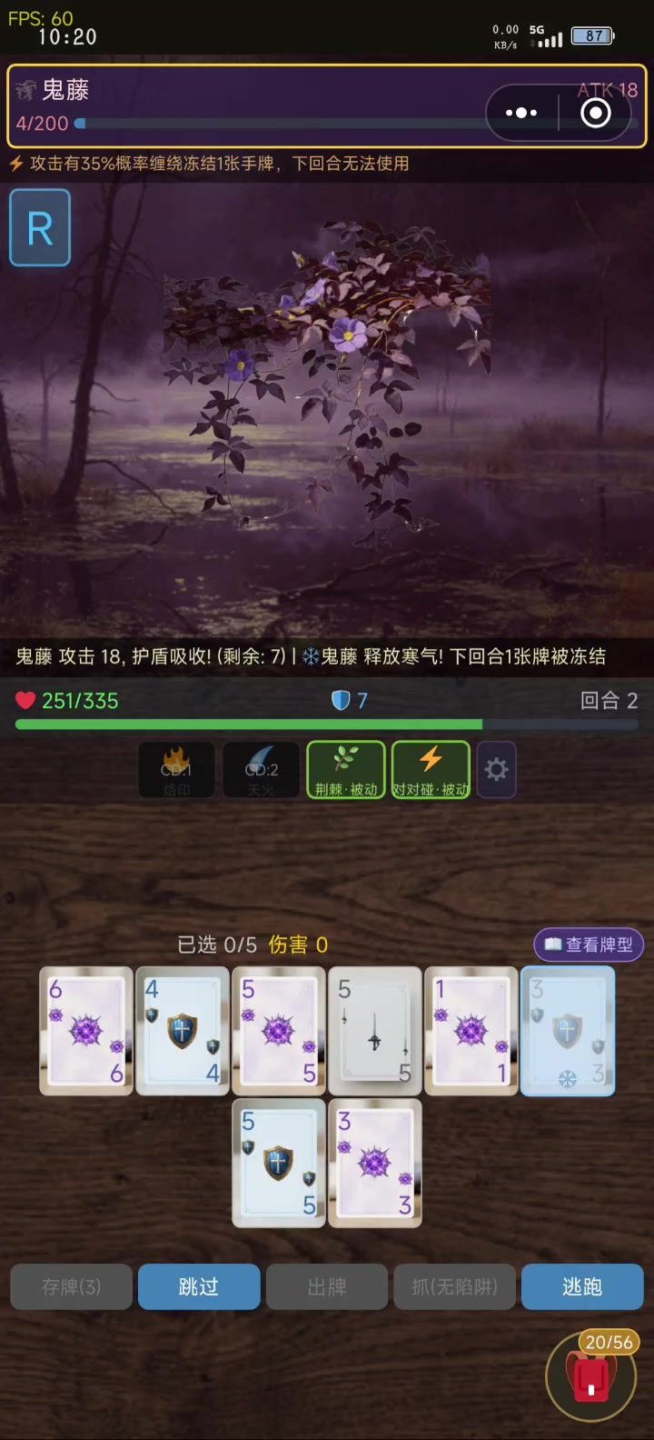 video-5733712