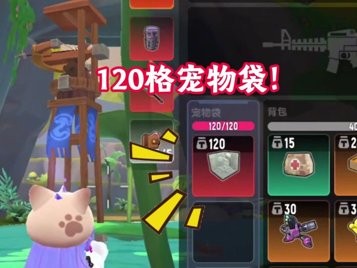还有谁的宠物袋不是120格？截图