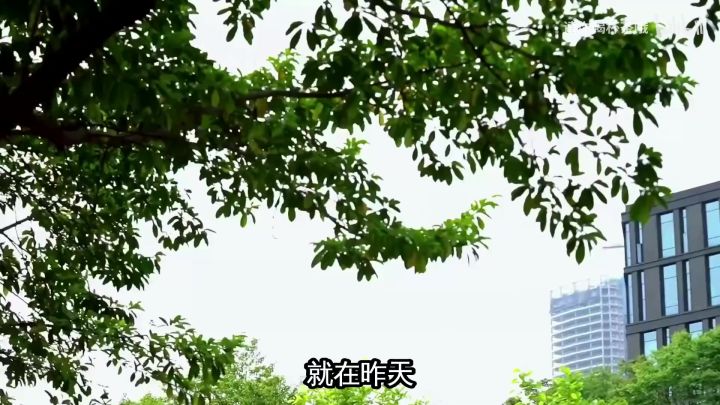 网易2026年Q1财报解读:游戏业务暴涨,多款新品表现亮眼截图