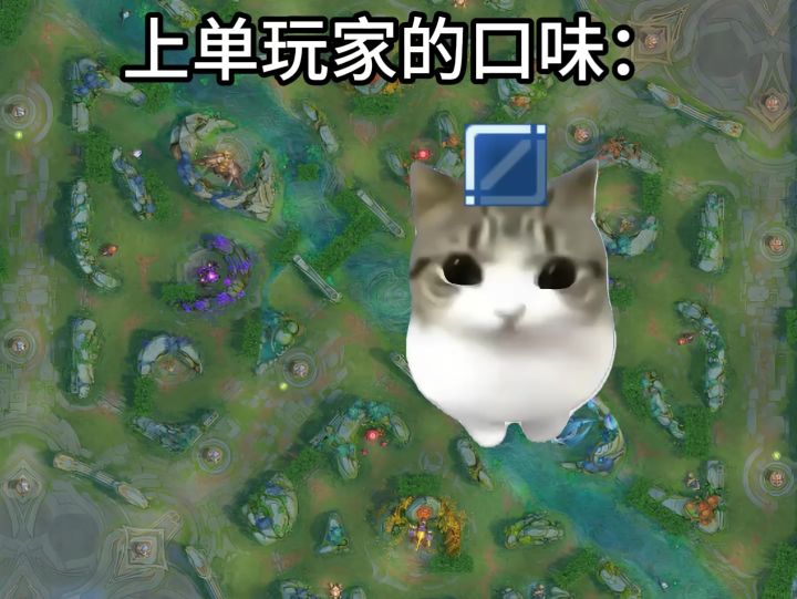 听说90%的上单玩家都是这样截图