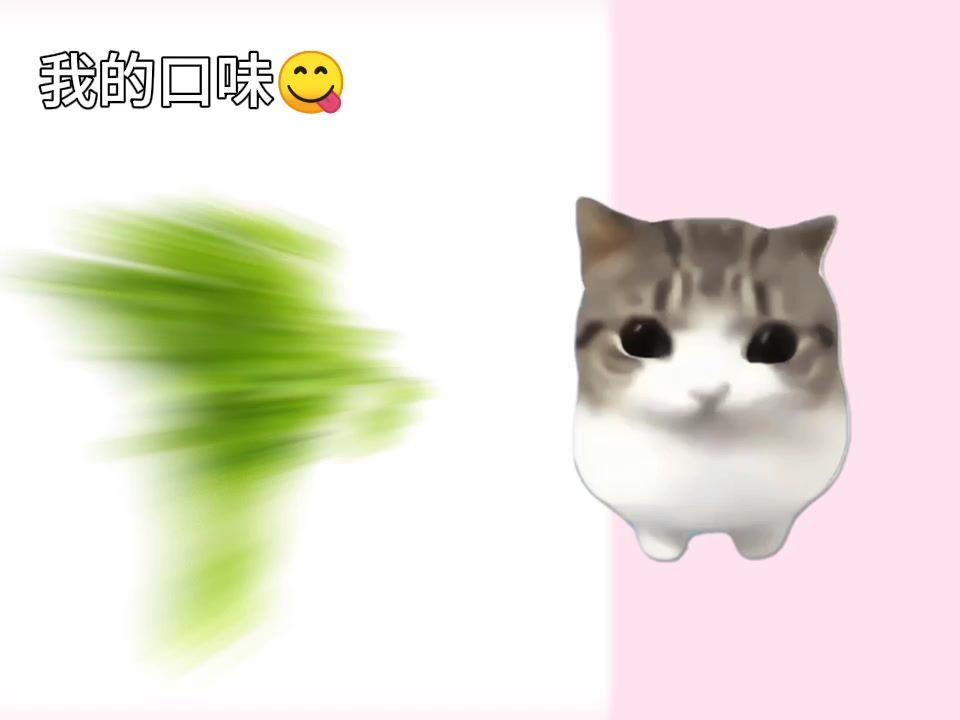 video-5749494