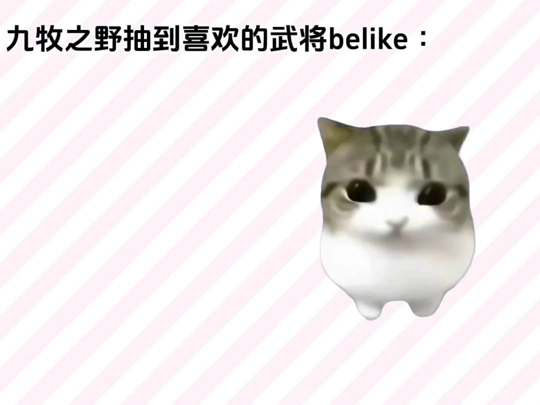 video-5755165