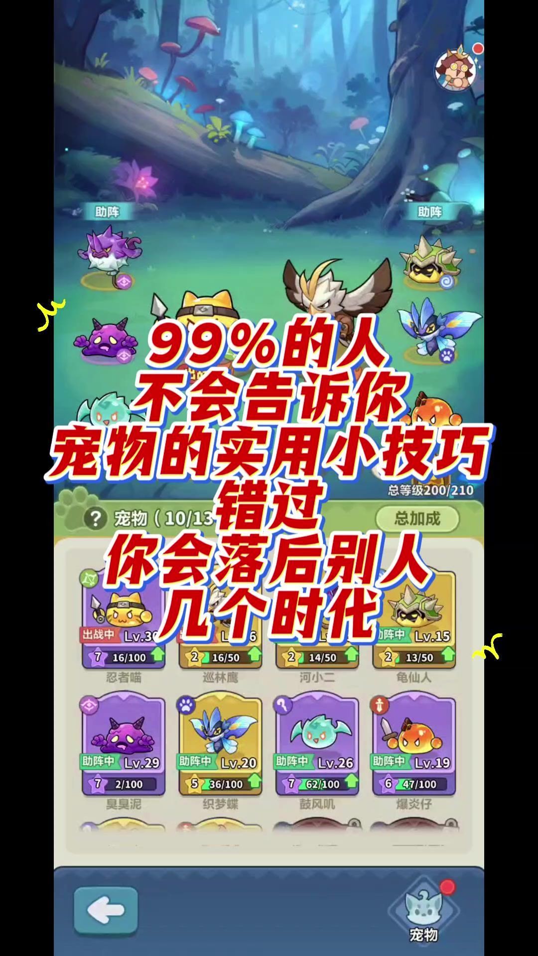 video-5755240