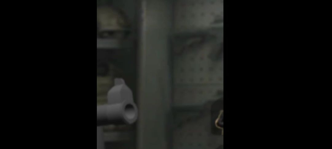 video-5756787