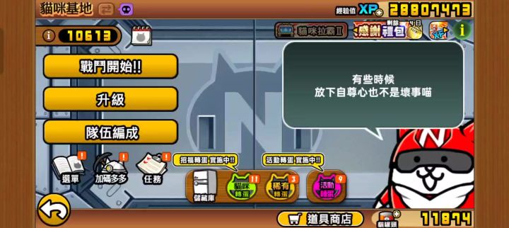 猫咪战队第四周 避免有人不知道怎么拿护目镜猫截图