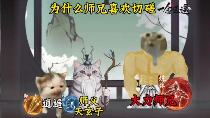 为什么师兄喜欢切磋截图