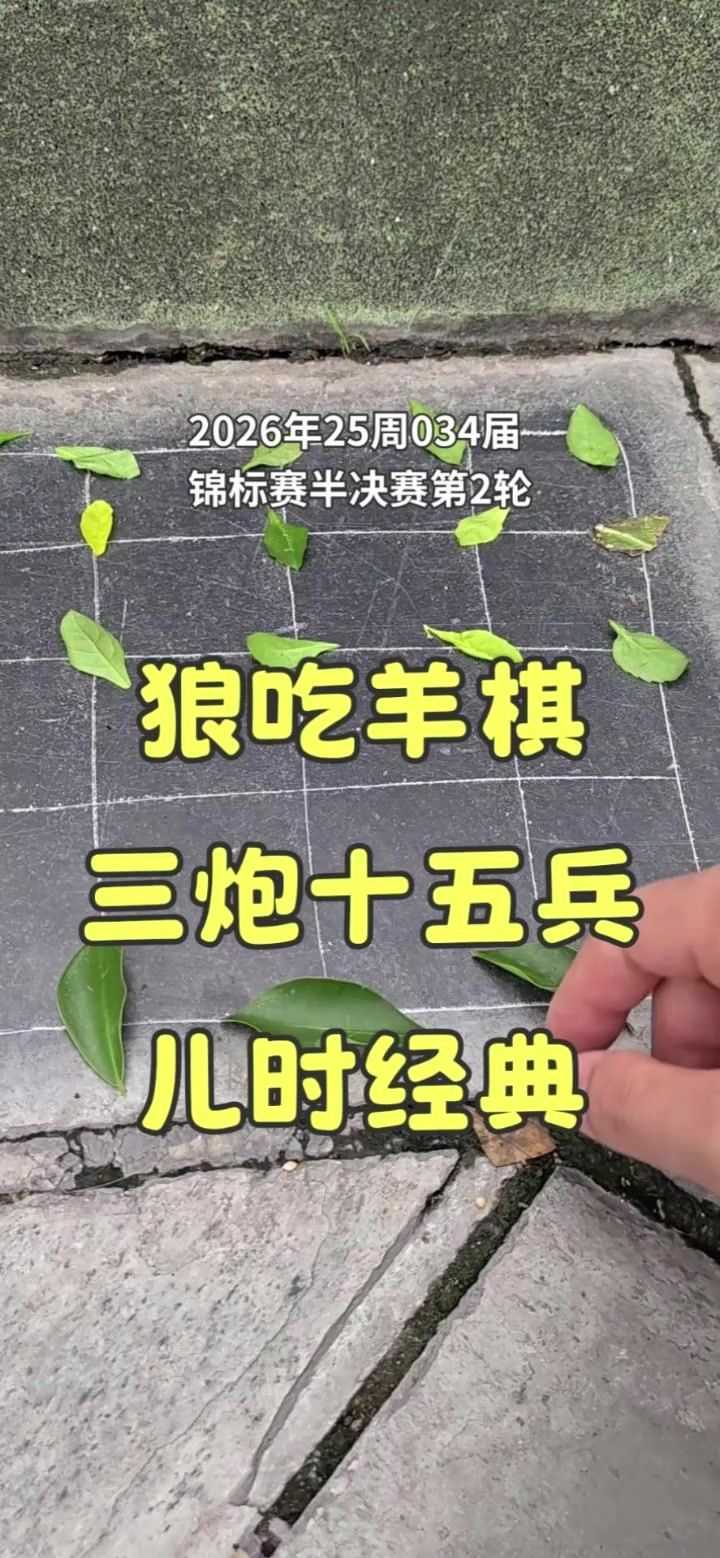 狼吃羊棋第34届锦标赛——半决赛第2轮截图