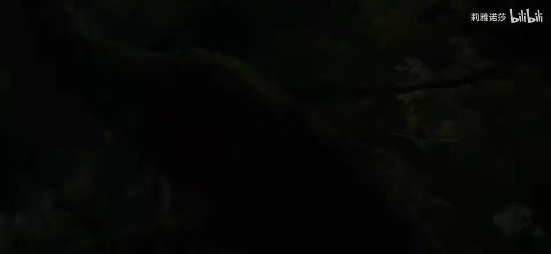 video-5772050