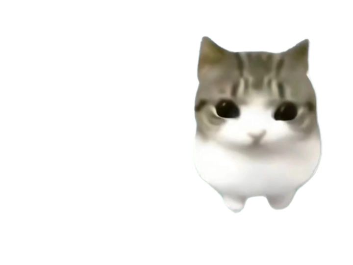 妙脆角小猫截图