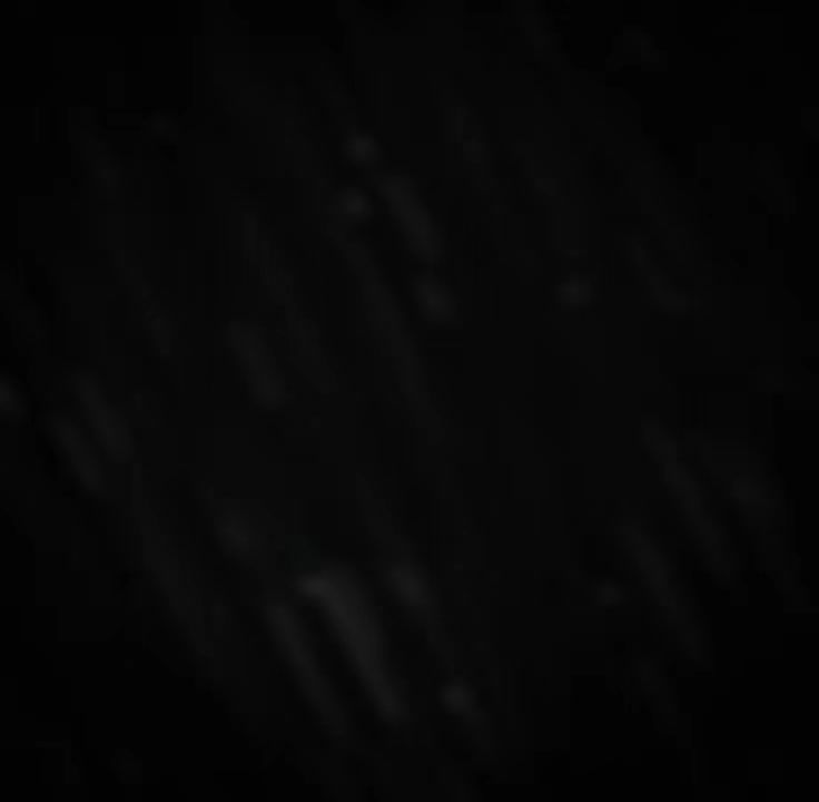video-5776999