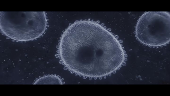 暗区突围手游 X 生化危机4 联动确认截图