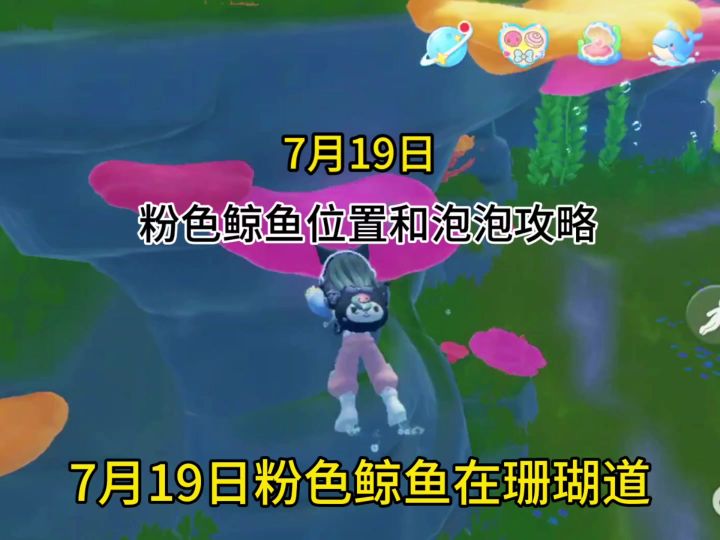 7月19日粉色鲸鱼位置和泡泡攻略截图