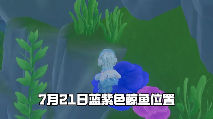 7月21日蓝紫色鲸鱼以及家具泡泡位置截图
