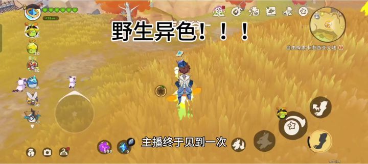 第一次见到野生异色截图