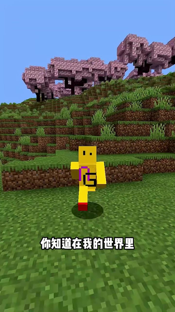 《我的世界》颠覆你认知的落地技巧截图