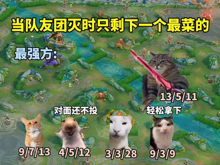 当队友团灭时只剩下一个最菜的截图