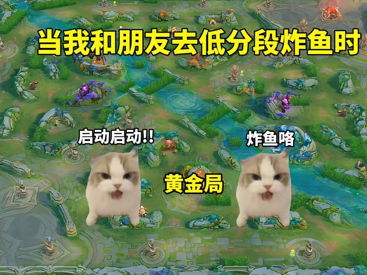 当我和朋友去低分段炸鱼时截图