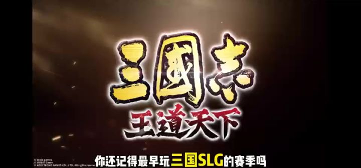 三国志王道天下截图