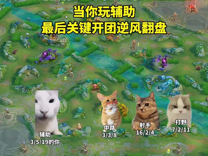 当你玩辅助最后拿下比赛时截图