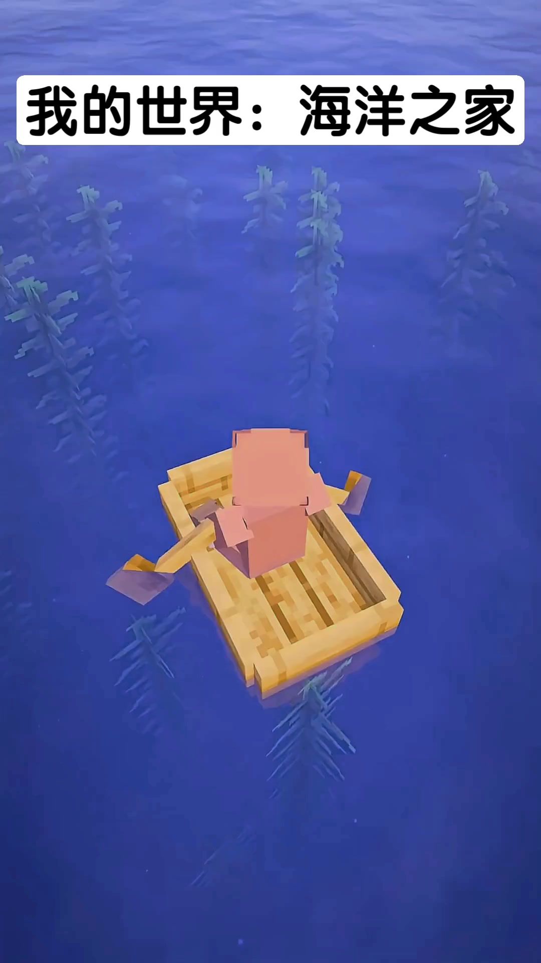 video-5793003