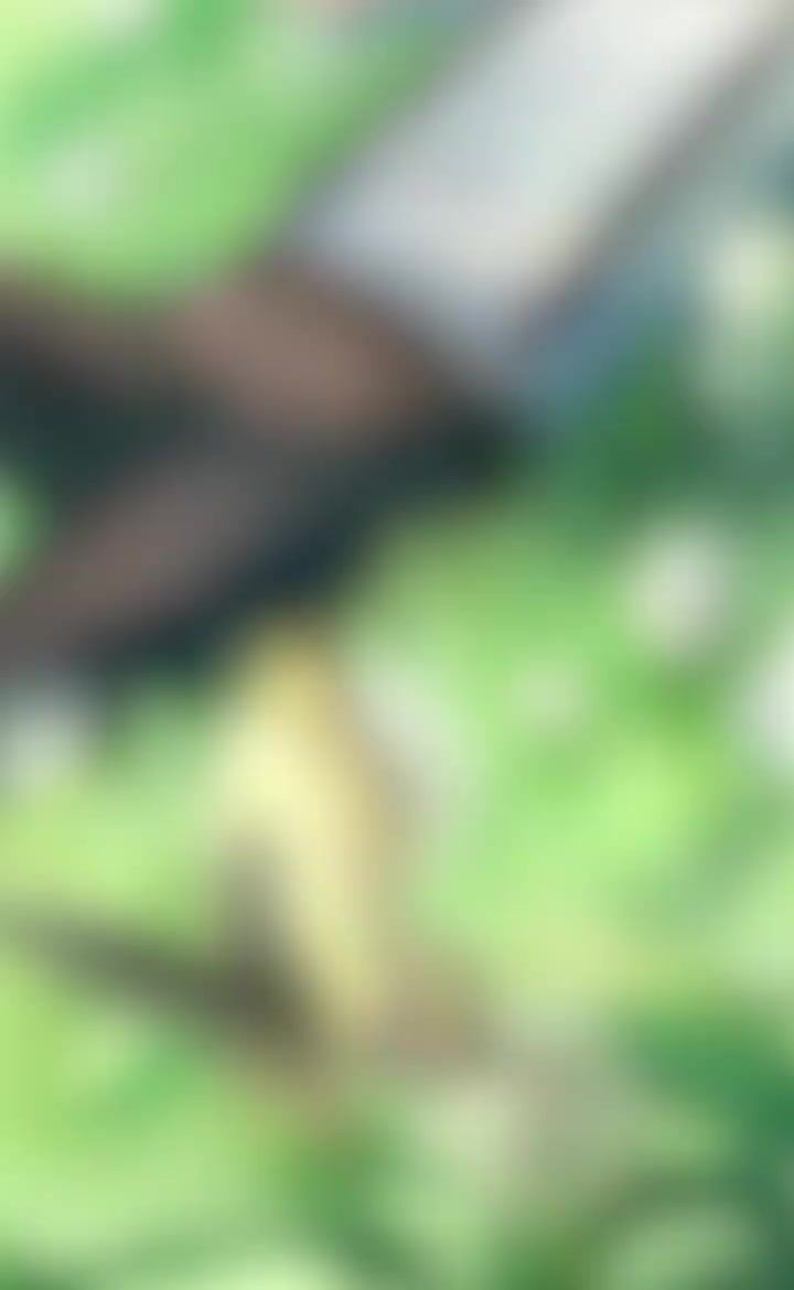 video-5795983