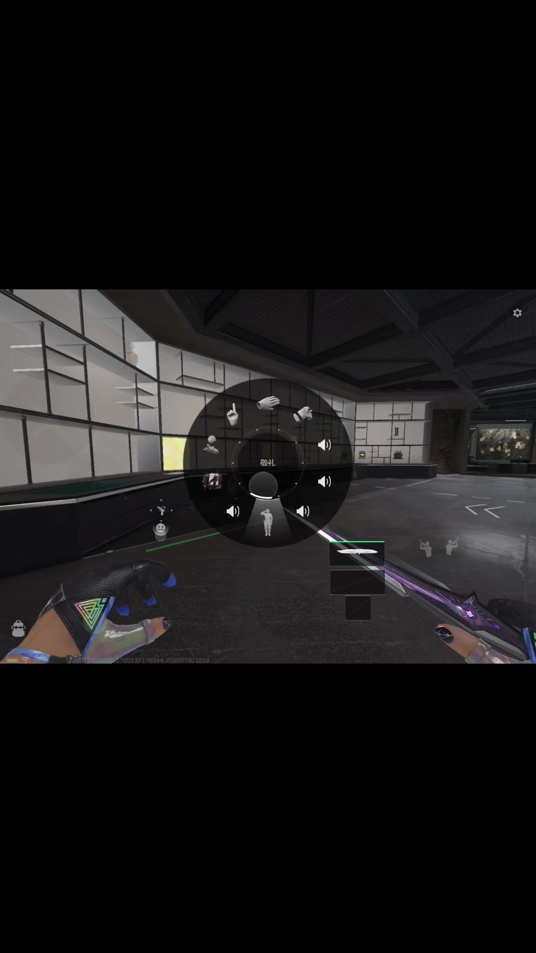 video-5802385