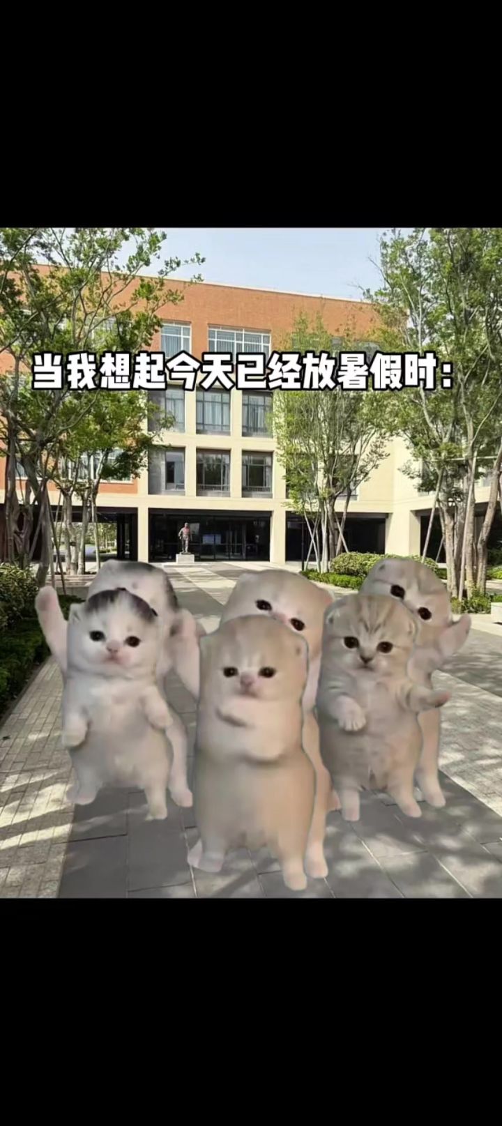 大坝截图