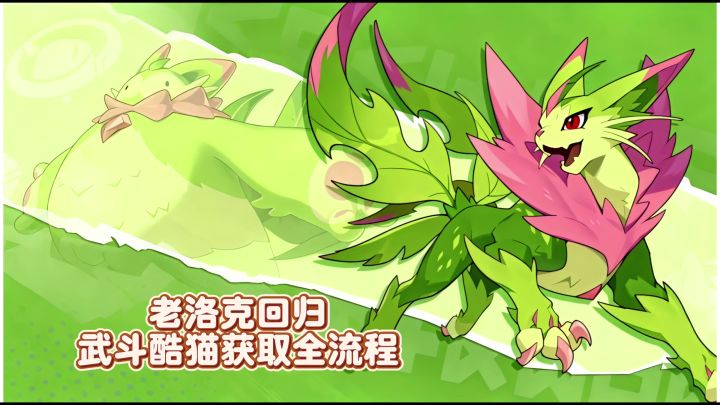 武斗酷猫正式登场,迪莫四个全新形态,萌宠加尔完整内容一次梳理截图