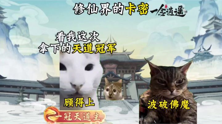修仙界的卡密截图
